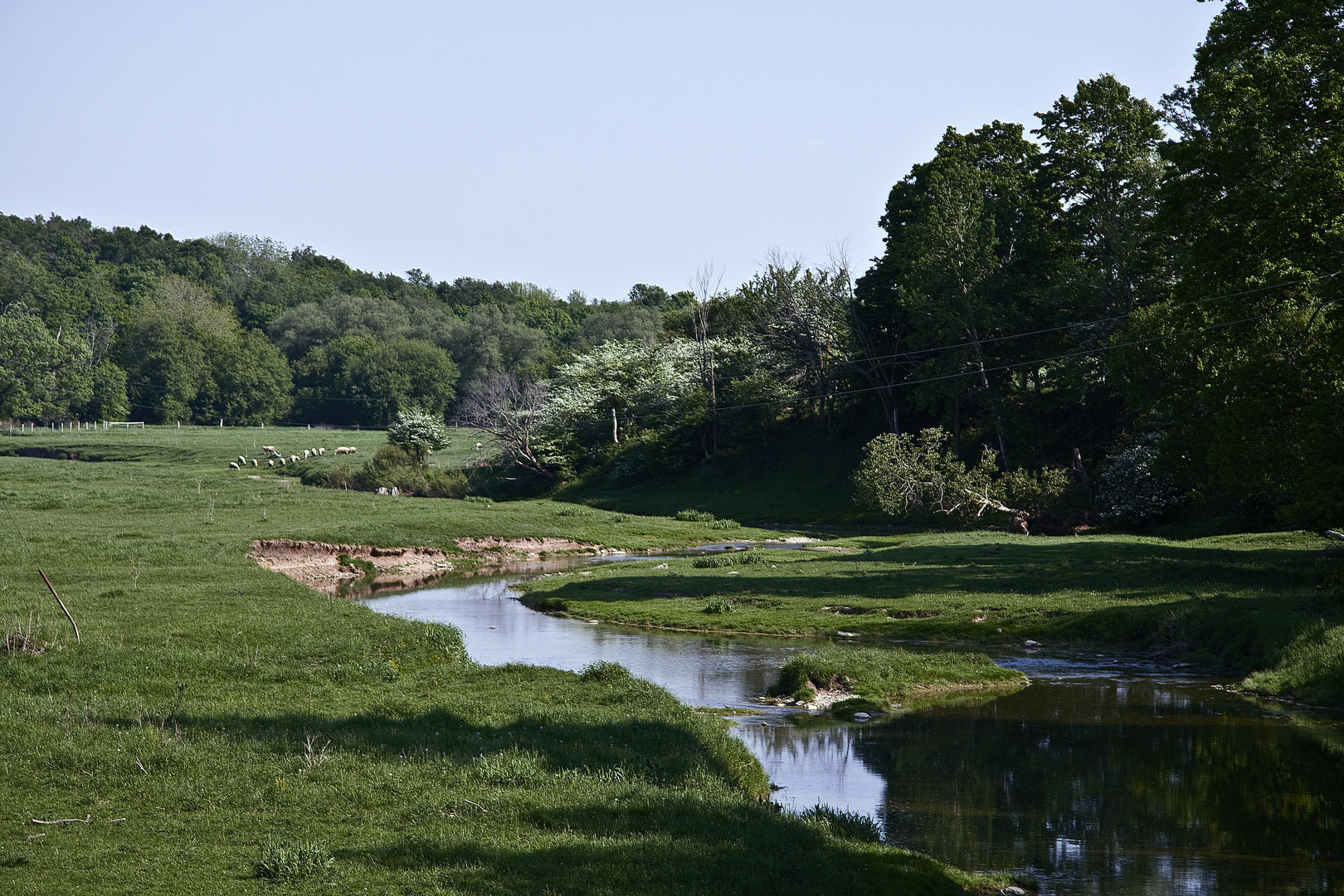 Pastoral