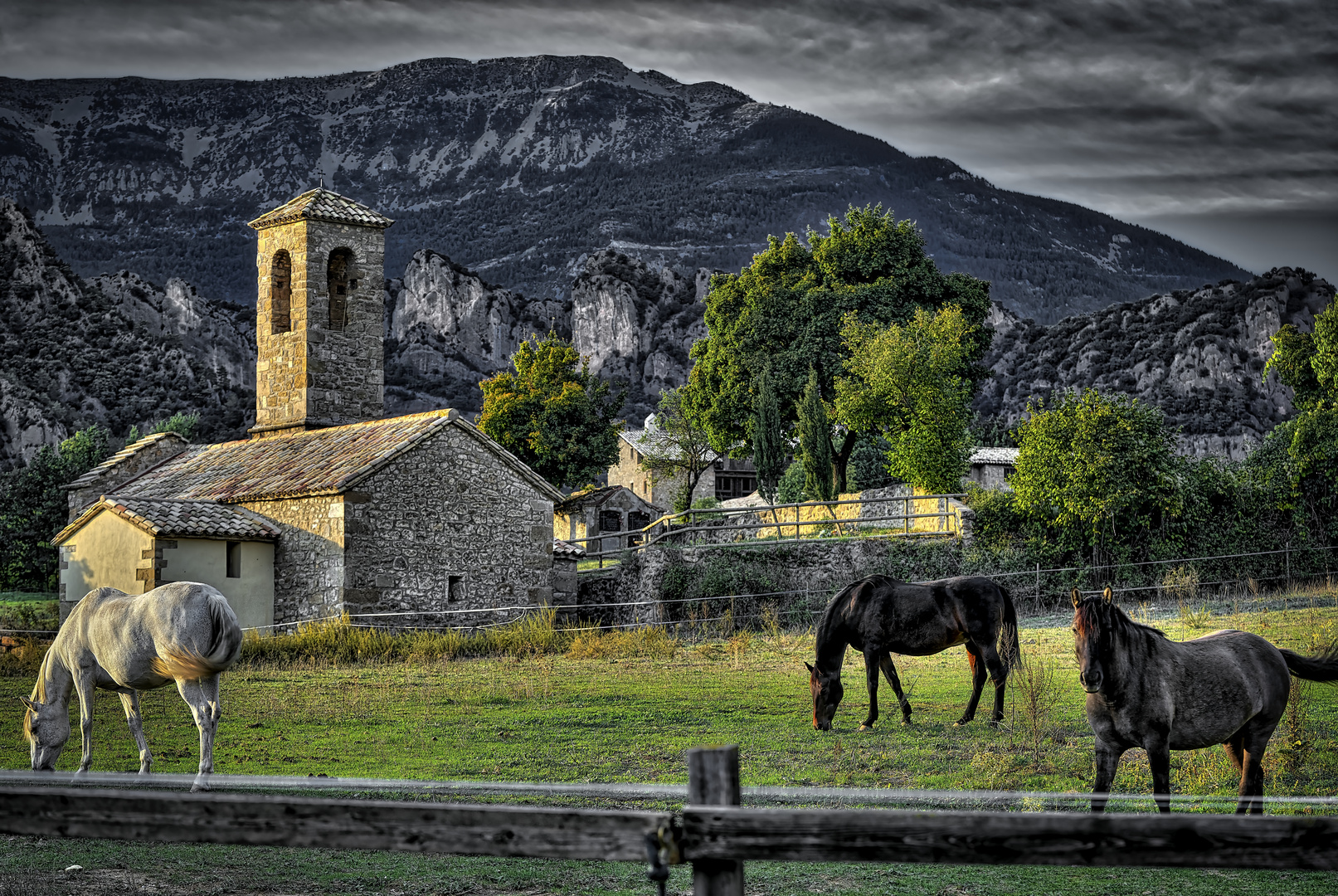 Pastoral