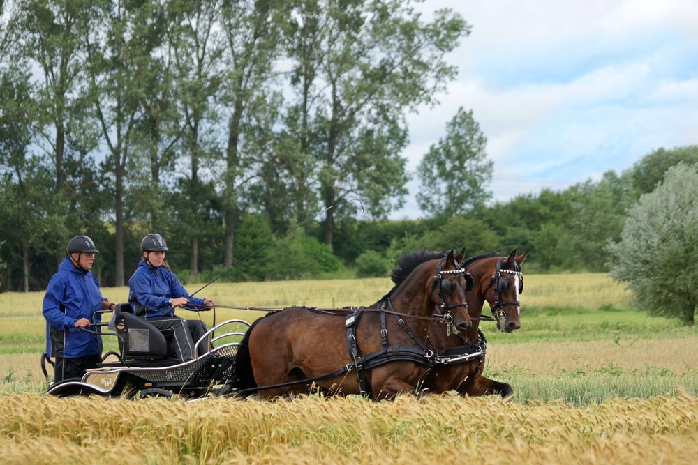 Pastorale