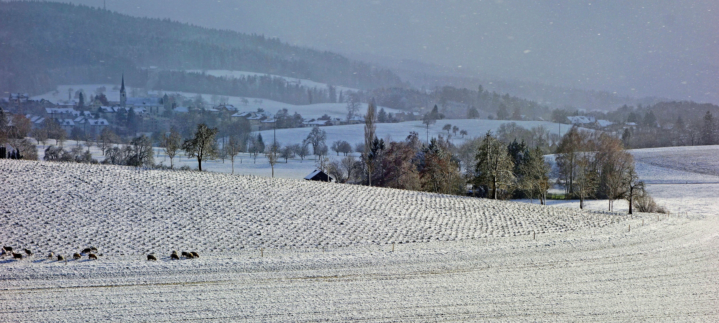 Pastorale, das Adventsbild fürs Gemüt!