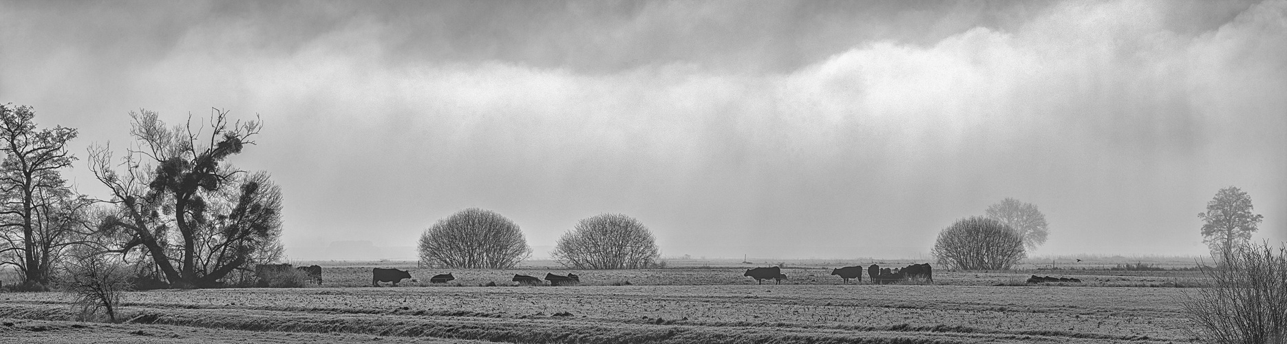 Pastorale zur Wintersonnenwende