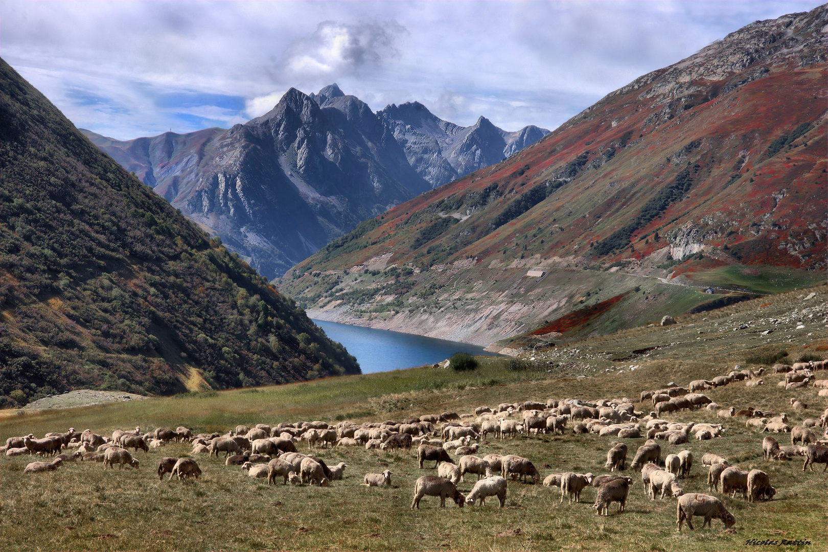 " Pastor'Alpes "