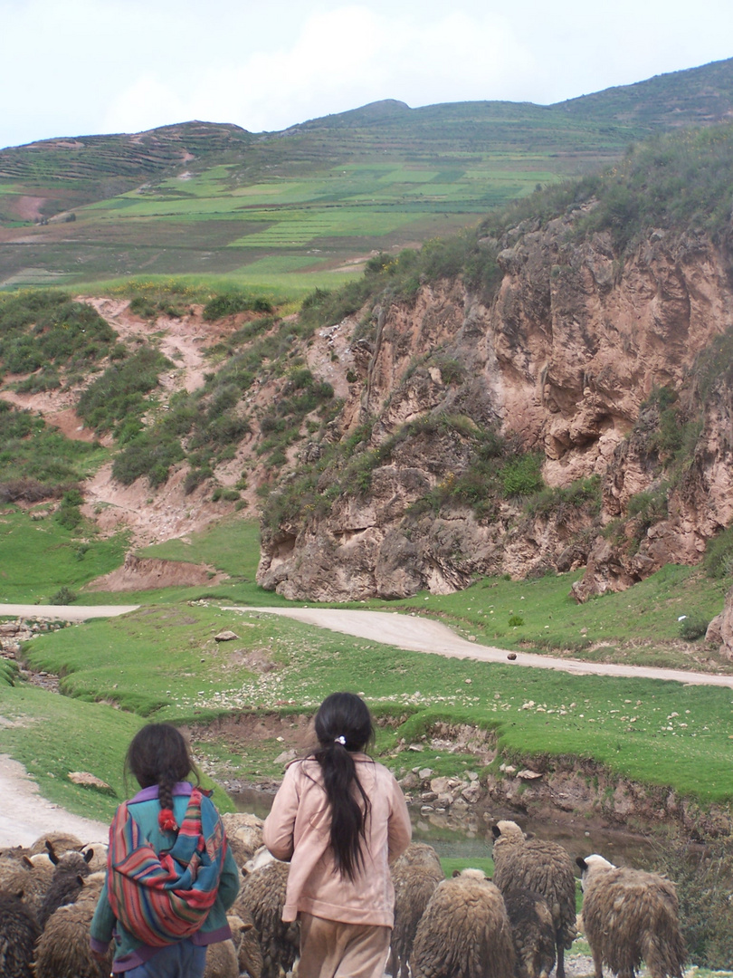 Pastoras en Peru