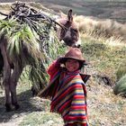 Pastorcito cerca de Zumbahua