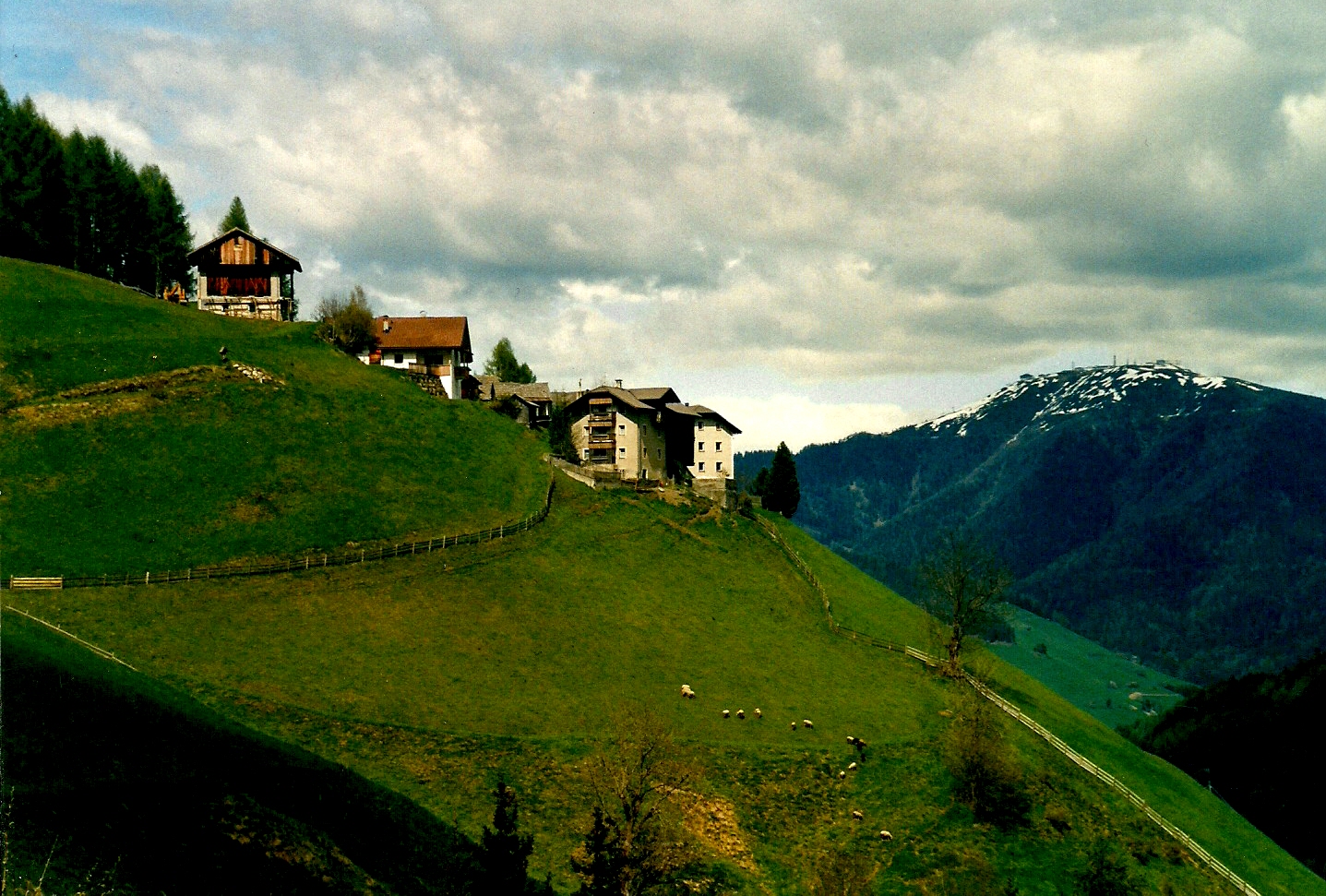 Pastorizia in Alta Badia