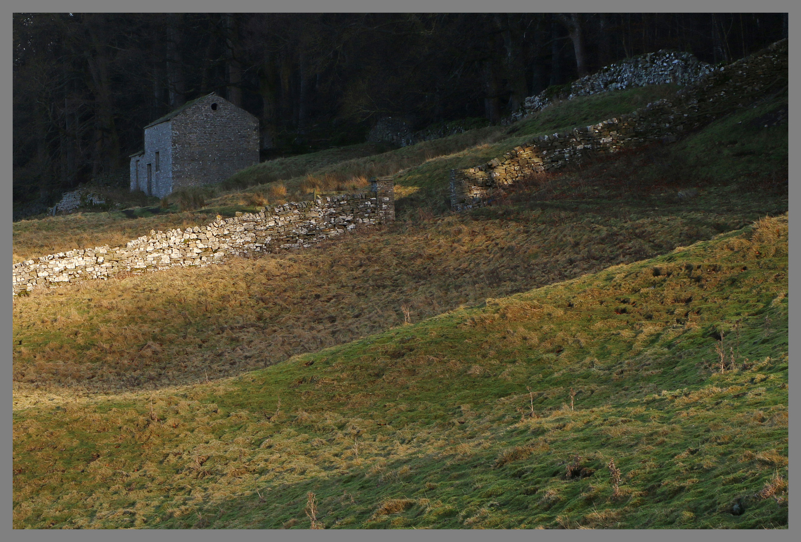 pasture above langthwaite 1b