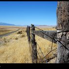 pasture fence