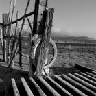 Pasture Gate and Grate