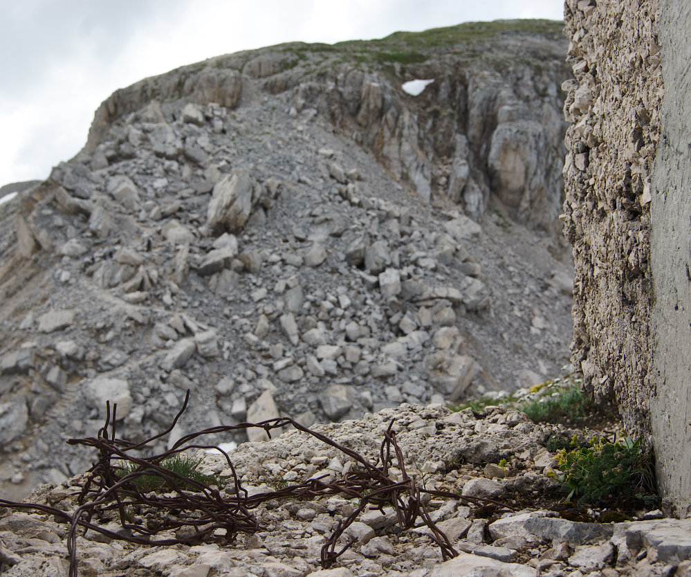 Pasubio - Dente italiano