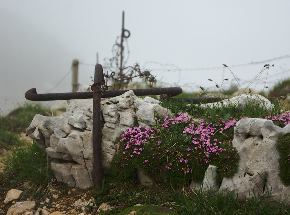 Pasubio II