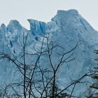 PAT#16: Perito Moreno Gletscher