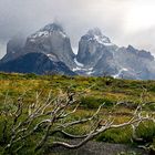 Patagonia 1