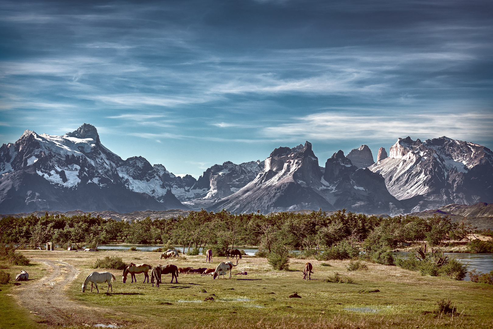 Patagonia