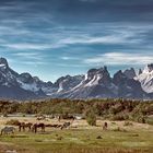 Patagonia