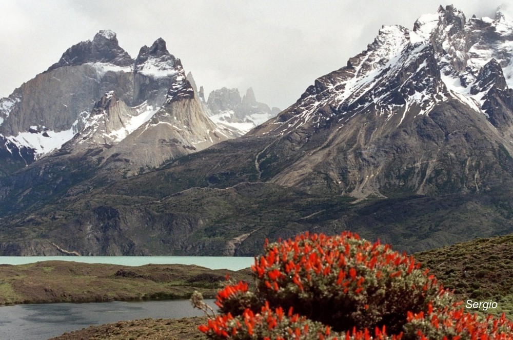 PATAGONIA