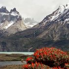 PATAGONIA