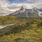 Patagonia