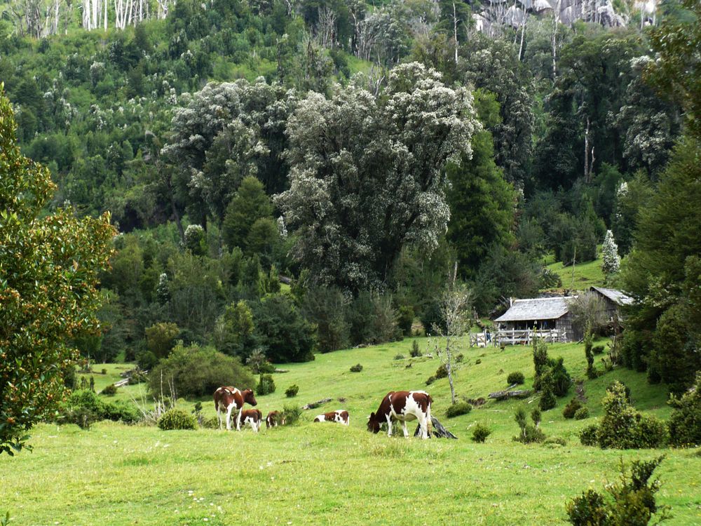 Patagonia von Huenu 