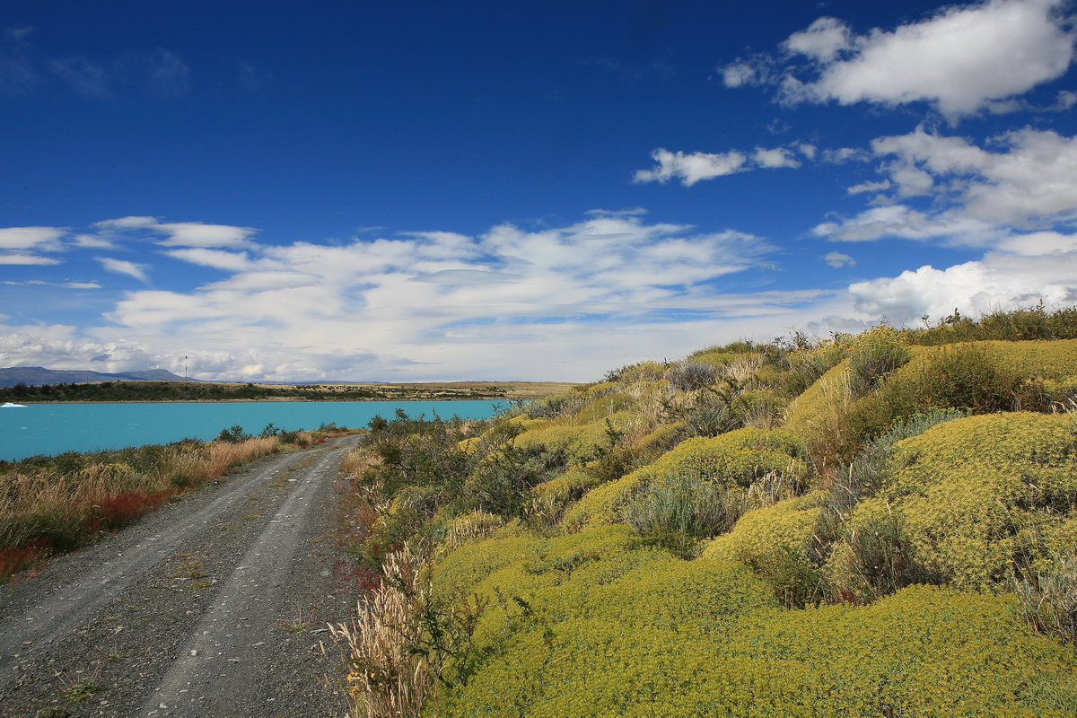 Patagonia - C'est un petit chemin....