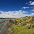 Patagonia - C'est un petit chemin....