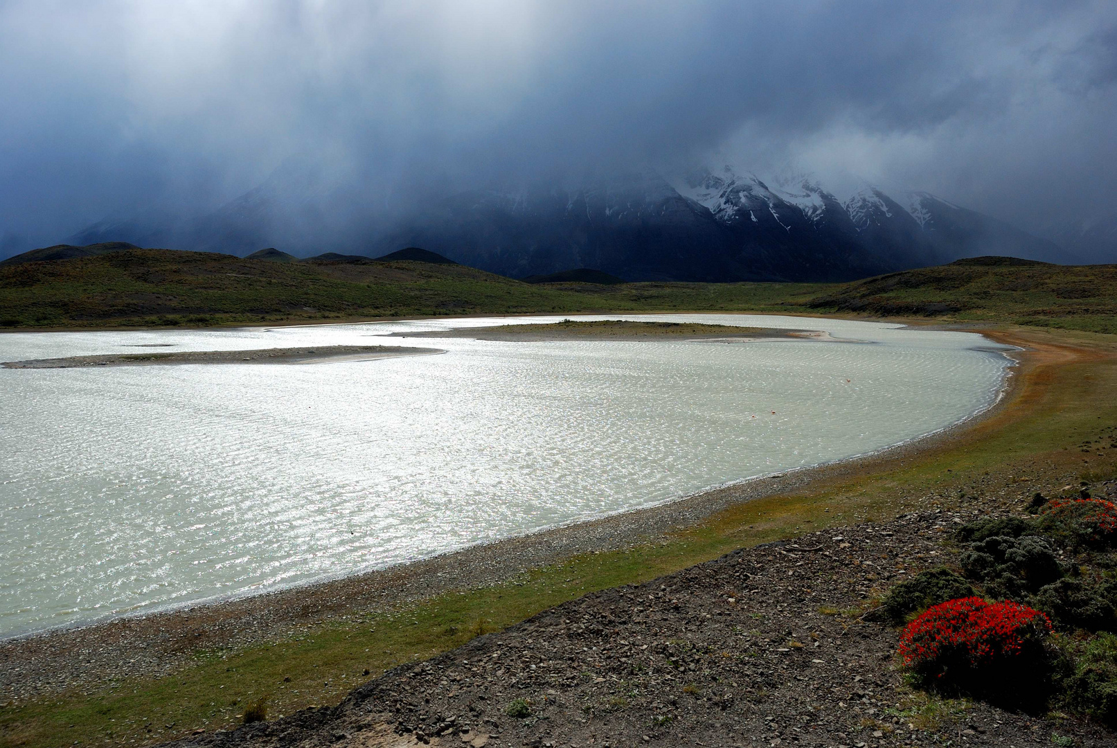 Patagonia cilena