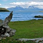 PATAGONIA -Fin del mundo