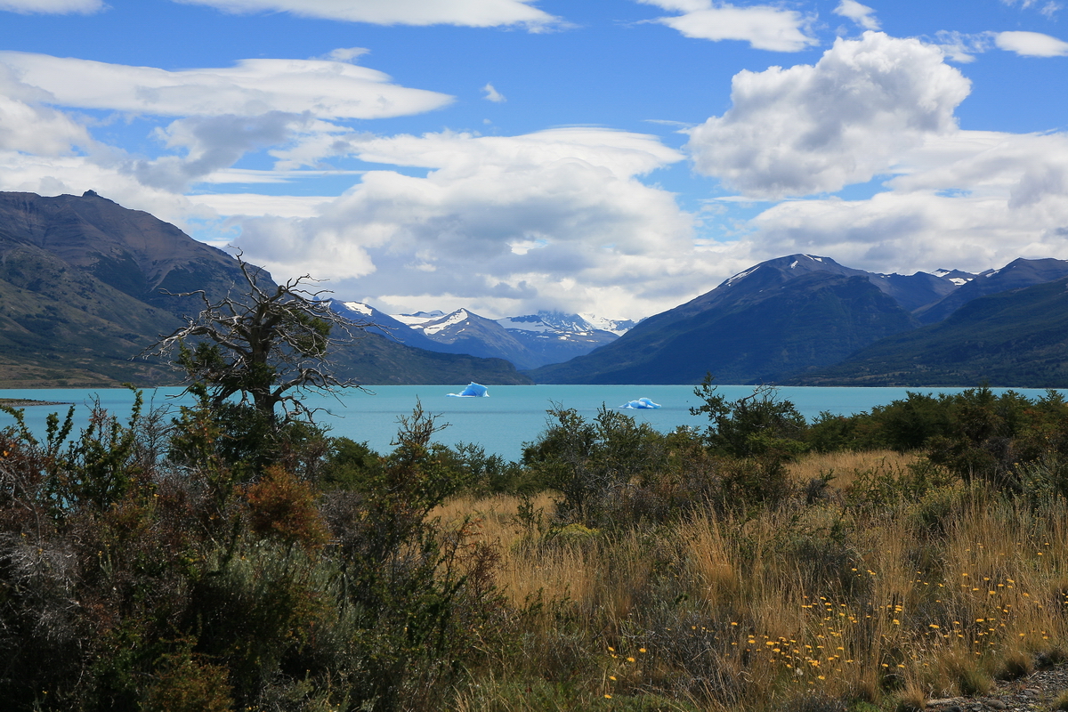 Patagonia - On the road