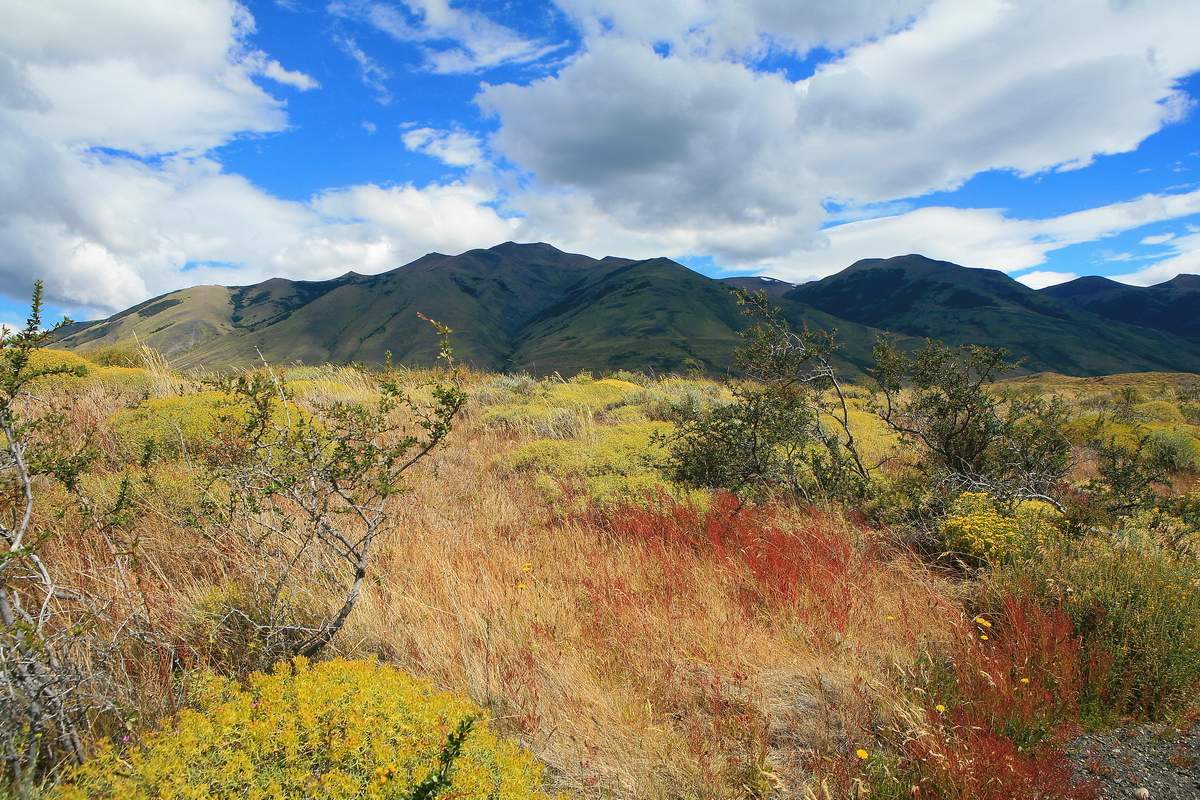 Patagonia - Paysage..