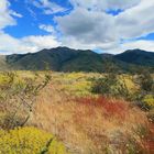 Patagonia - Paysage..