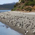Patagonian Beach