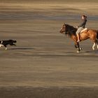 Patagonian way of life