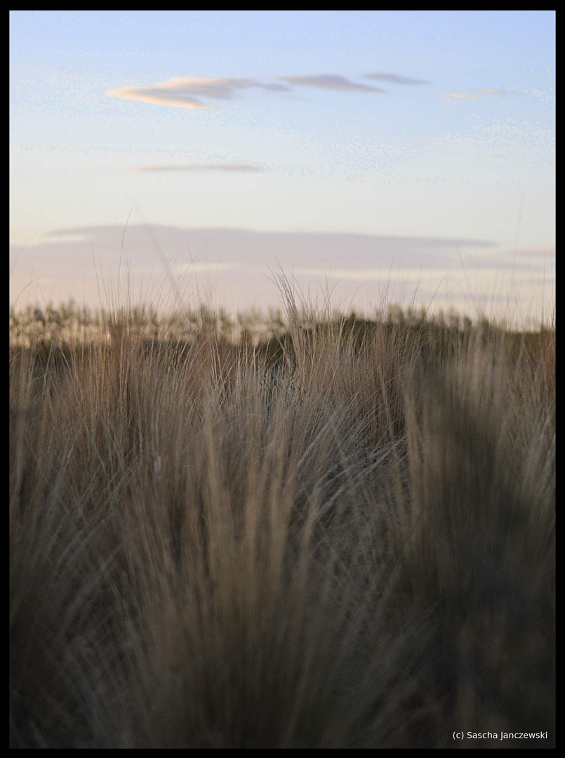 Patagonien 2011