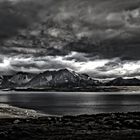 patagonien - blick aus dem bus während der fahrt...