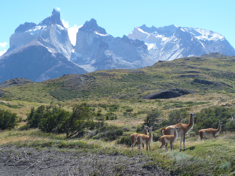 Patagonien