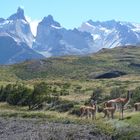 Patagonien