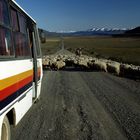 Patagonien - Express
