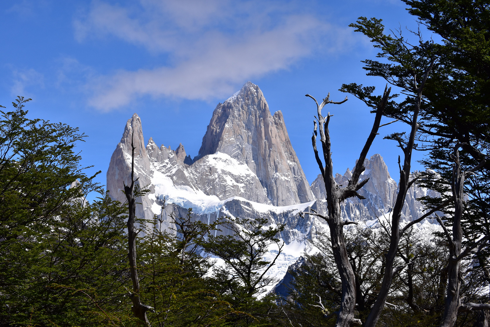 Patagonien im Frühling