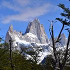 Patagonien im Frühling