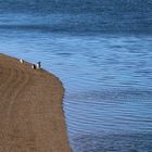 Patagonischer Minimalismus