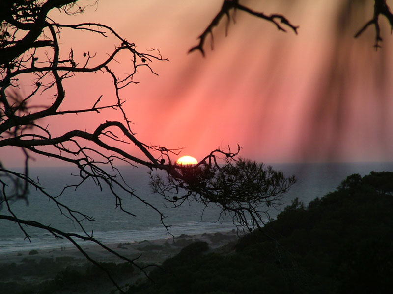 PATARA / TURKEY