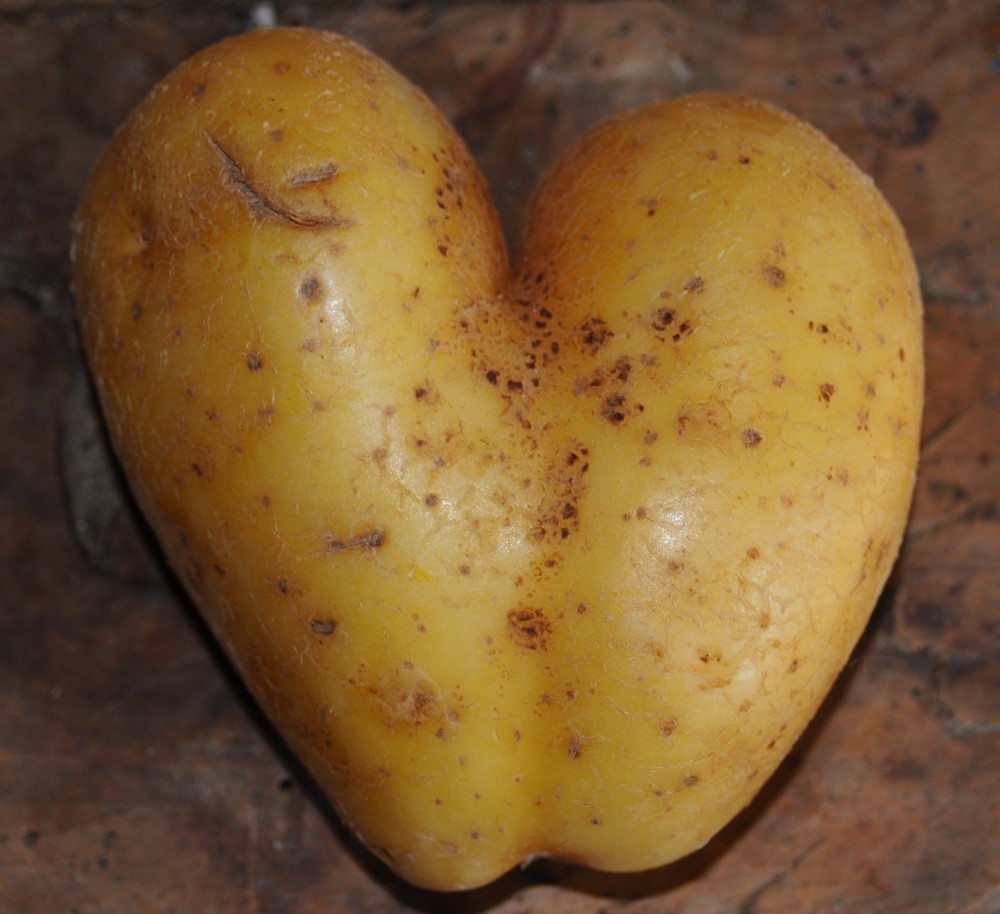 patate o g aime