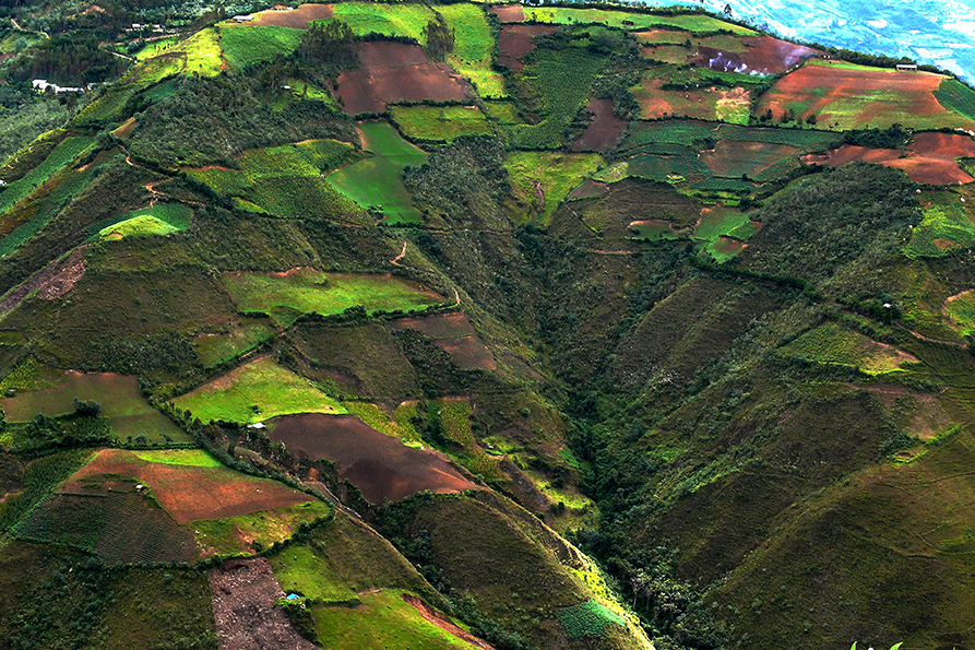 Patchwork Peruano