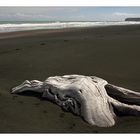 Patea beach