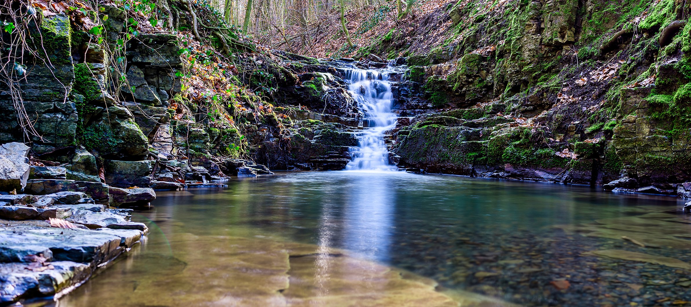 Patensteig im Extertal I