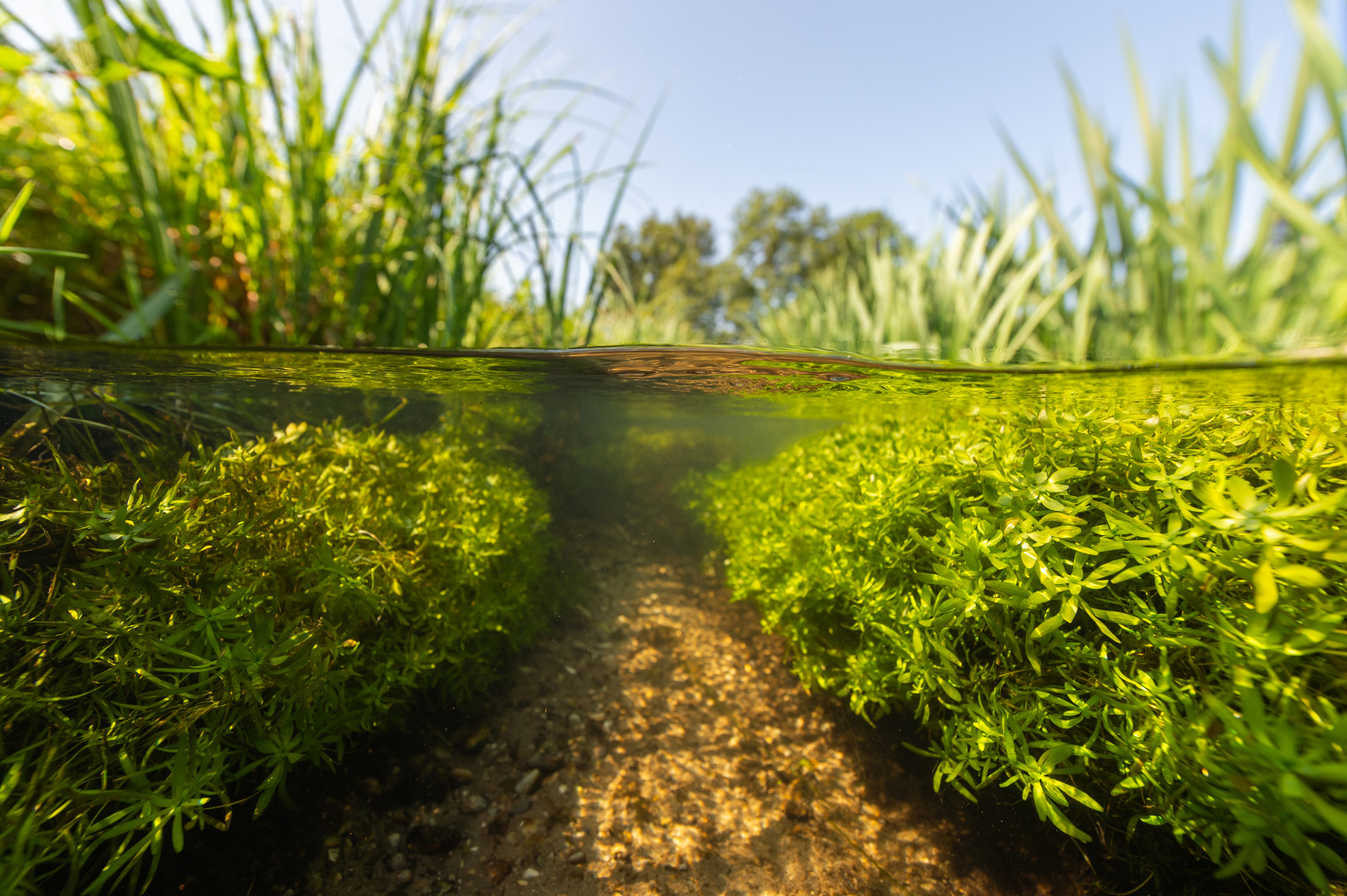 Path beyond the surface