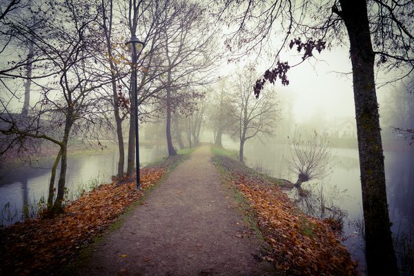 Path in fog