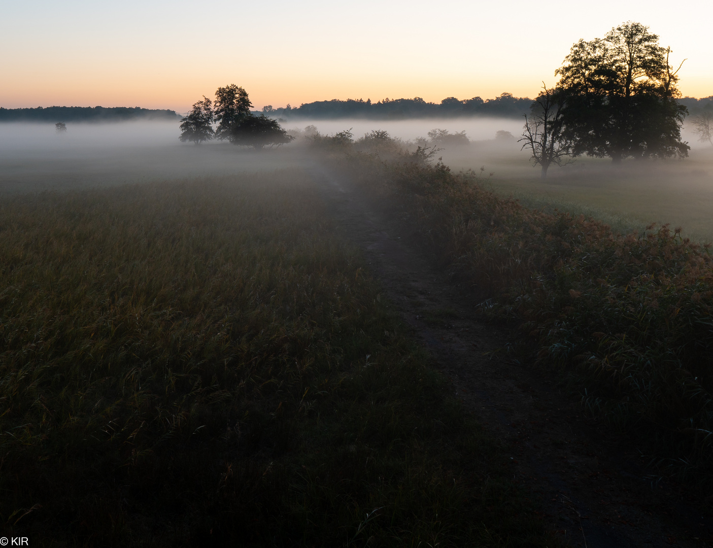 path in the mist