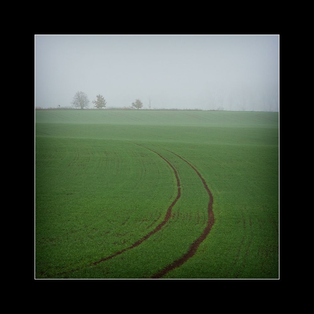 path into the fog