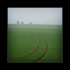 path into the fog