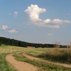 Path through hilly, harvested fields with bales of straw below blue sky and fair-weather clouds